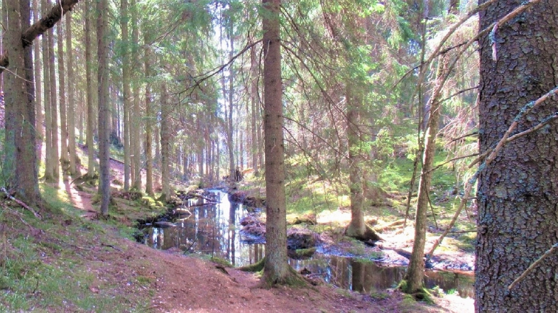 Kurssikuva